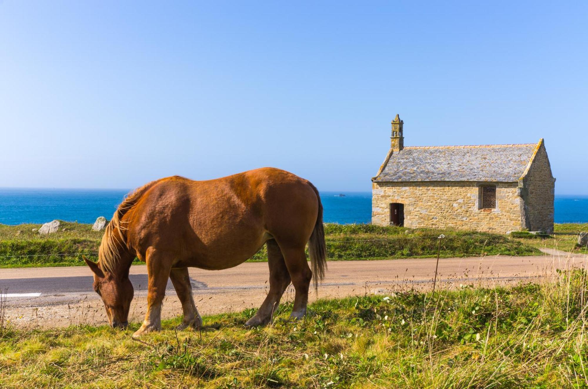 Ty Nevez - Jolie Maison Neuve Avec Petite Vue Mer Saint-Pabu  Exterior foto